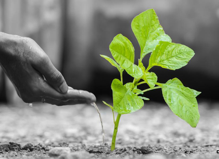 (Indoor air-Part 1: General aspects of sampling strategy)